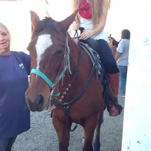 I had just gotten on the horse.