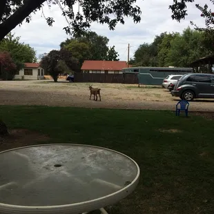 Getting ready for our ride at sugarland!!!