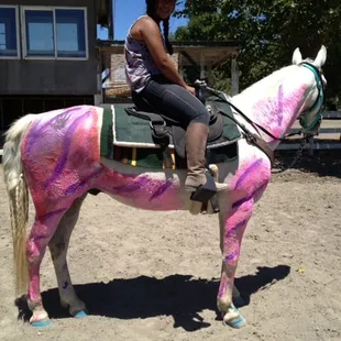 Painted ponies at horse camp