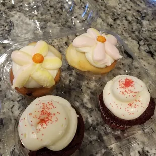 Two red velvet cupcakes... you have to pre order these or get the early. Two vanilla on vanilla cupcakes. So awesome.