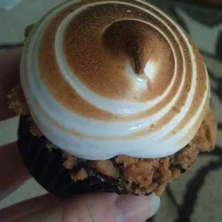 Smores Cupcake Special
