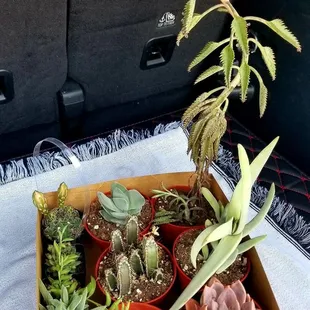Recent purchase..