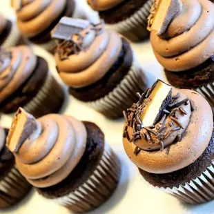 Chocolate Cupcakes