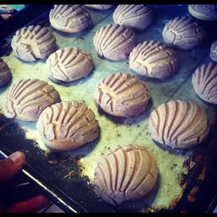 Probably the best seller mini Chocolate Conchitas