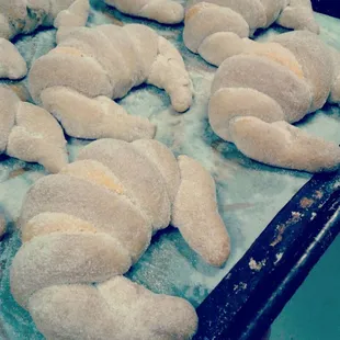 Pan Fino Cuerno/Horns