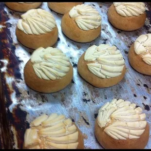 Panaderos Spanish for "Bakers"