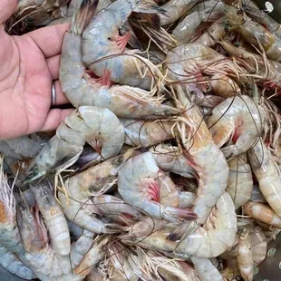 Fresh head on gulf shrimp it's all about the ingredients