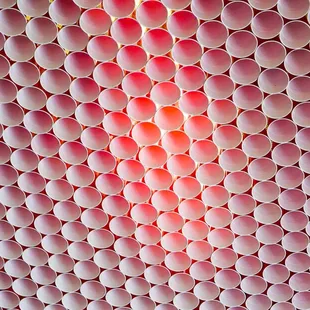 The ceiling is made out of solo cups!