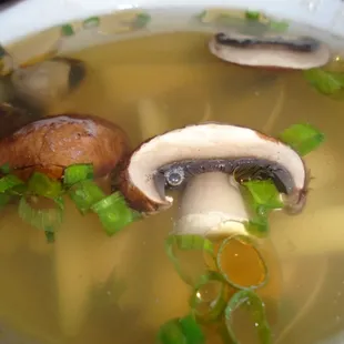 Clam soup, close-up.