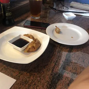 Gyoza