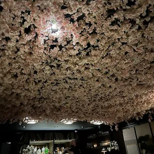 Cherry blossom ceiling!