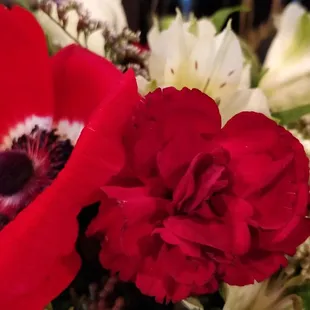 a close up of a red flower