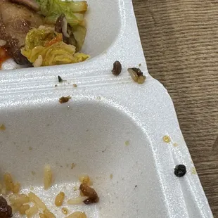 A bug on my rice in the middle of my plate .
