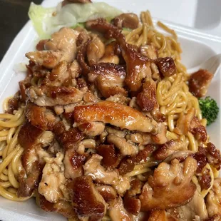 Chicken and noodles