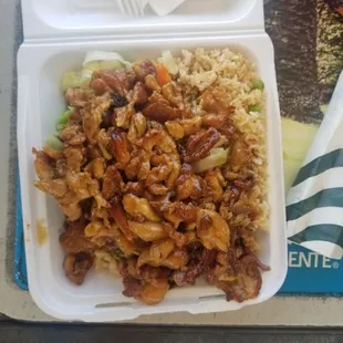 Chicken Teriyaki with fried rice