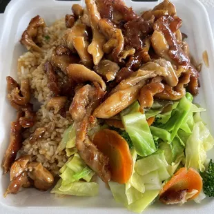Teriyaki Chicken plate.. regular size..