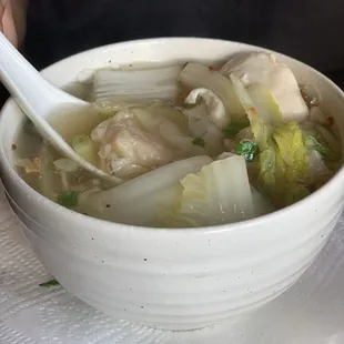 Chicken Wonton Soup