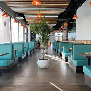 sushi and sashimi, interior