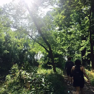North Twin Trail (very short loop)