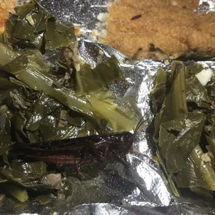 When you order the greens you get an extra piece of protein... fried grasshopper in the greens with the catfish combo