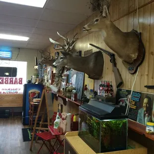 Awesome atmosphere @ Sully's