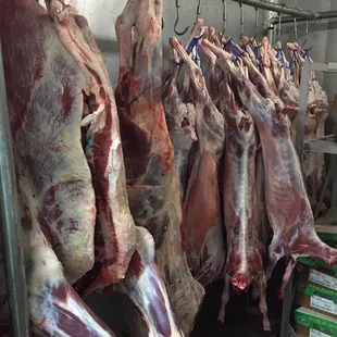 raw meat hanging from a rack