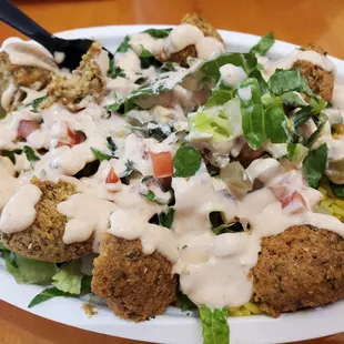 Falafel platter