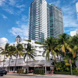 a view of a street with palm trees in the foreground