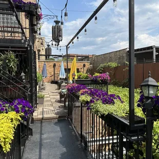 a view of the patio area