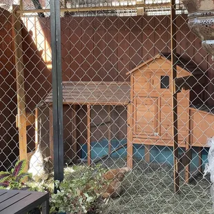 Chicken coop