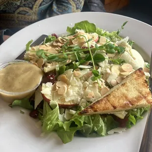 Sulten Belly Favorite Salad