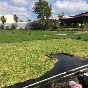 Non-stop natural spring water comes straight out of the ground