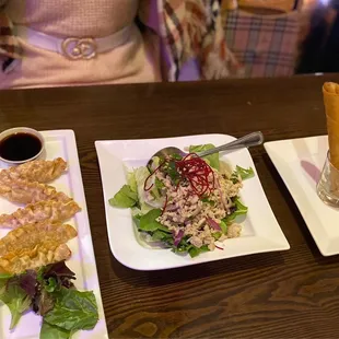 Appetizers:  dumplings, Larb Gai, and spring rolls