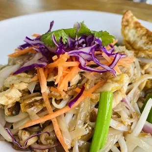 Chicken Pad Thai is delicious. Some this dish can be too dry but this is perfect.