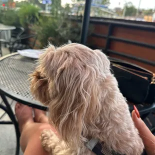 Luncheon with my bff