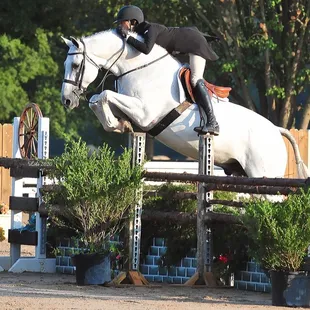 Carriage and Jordan Gilchrist