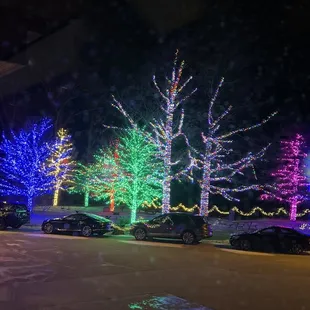 Christmas Lights