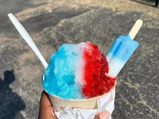 Sno Trips