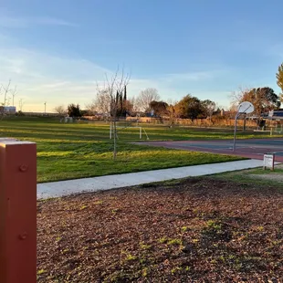 Summerfield Park