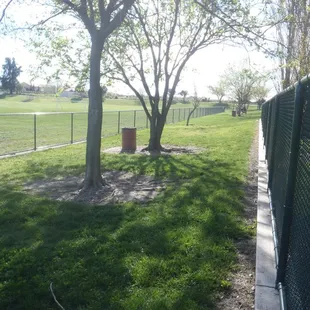 Front of large dog area.