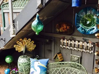 This Place Is For the Birds