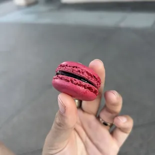 Raspberry Macaron