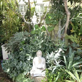 Little garden outside of lobby at Summerland Inn