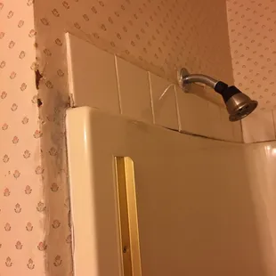 Disrepair and mold in bathroom