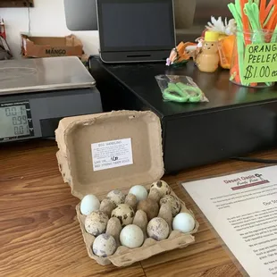 Qual eggs