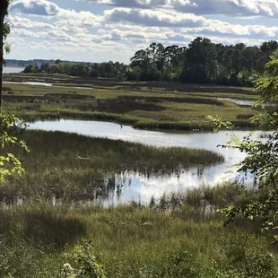 a view of a marsh and wetlands