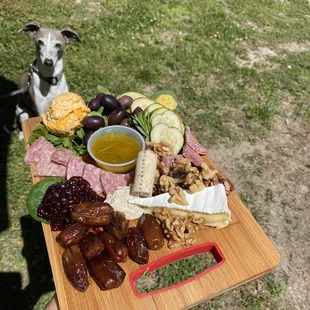 Cheeseboard with a cute dog in the background