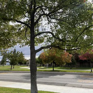the area