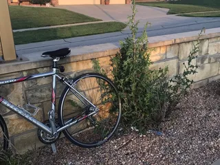 HOA Management Services