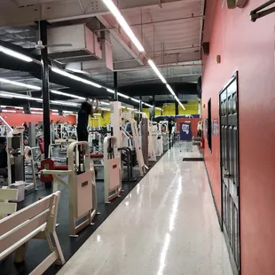 Gym Floor